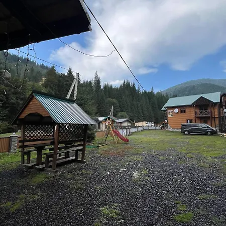 Деревянный коттедж лісова тиша Синевирская Поляна