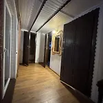 лісова тиша